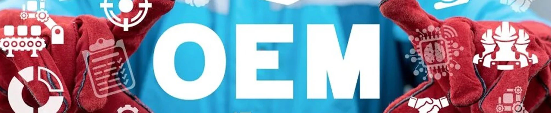 OEM 合作伙伴关系